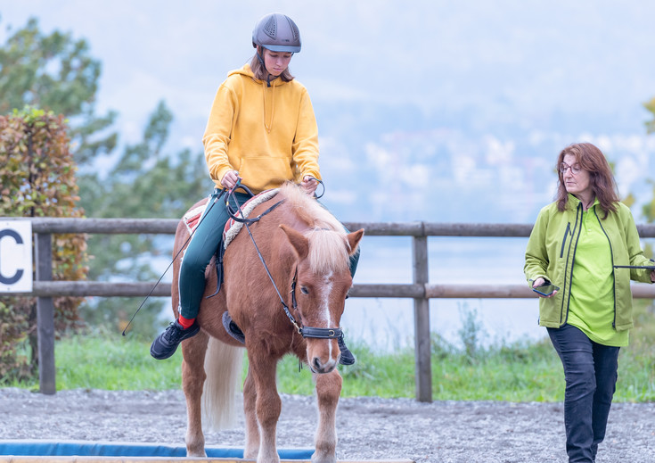 Bild Heilpädagogisches Reiten